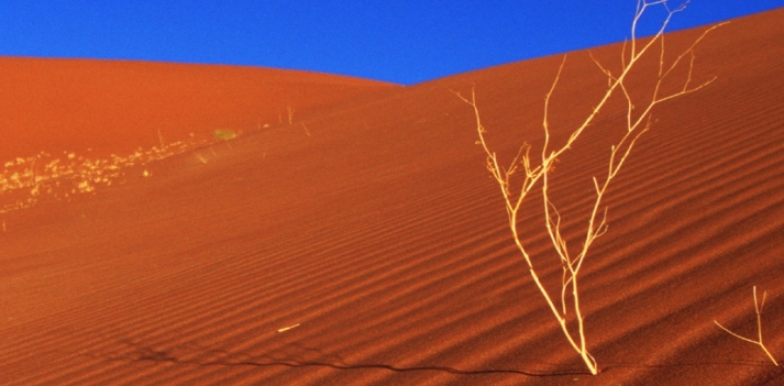Namibia - I deserti pi&ugrave; antichi del mondo e la fierezza dei popoli africani 3